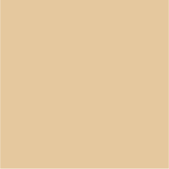 Beige (2509)